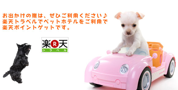 楽天トラベル