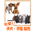 可愛い子犬・子猫販売