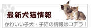 最新犬猫情報：かわいい子犬・子猫の情報はコチラ！